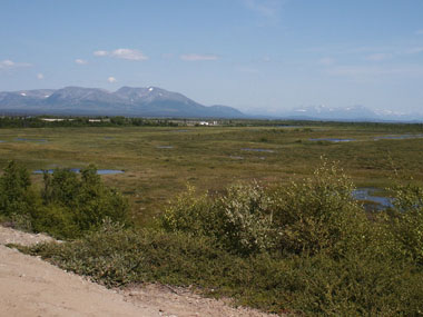 Click to Enlarge